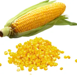 Can diabetics eat corn
